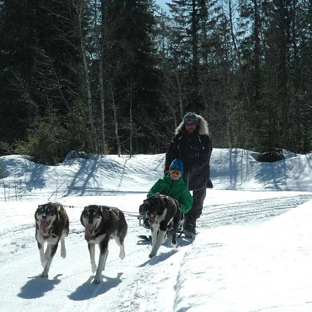Biski Unique i bruk som hundeslede