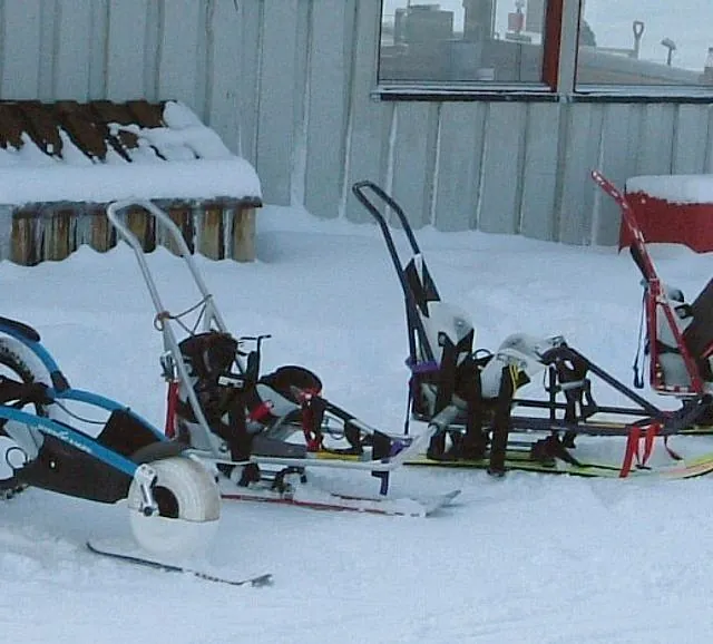 Ulike varianter av skiutstyr for funksjonshemmede