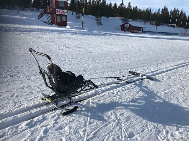 Dynamique Nordic