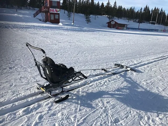 Dynamique Nordic